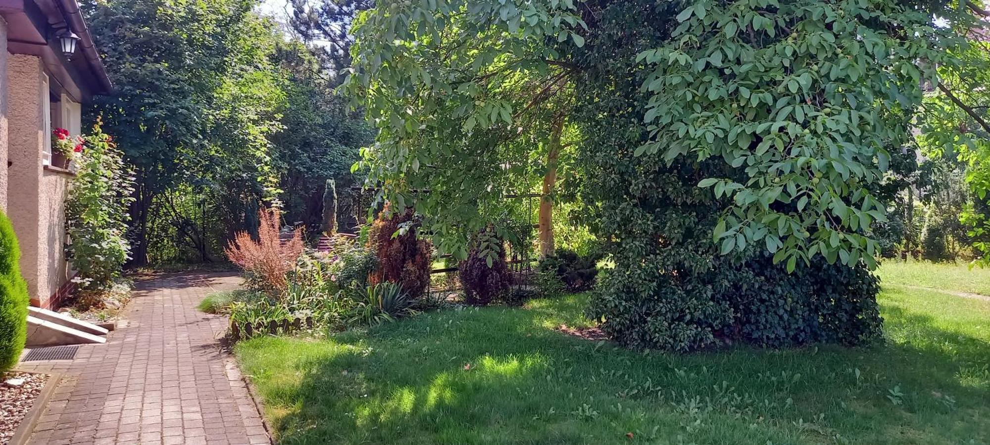 Apartament 2-Pokojowy 55 M2, Kolo Zoo, Hali Stulecia Wrocław Exteriör bild