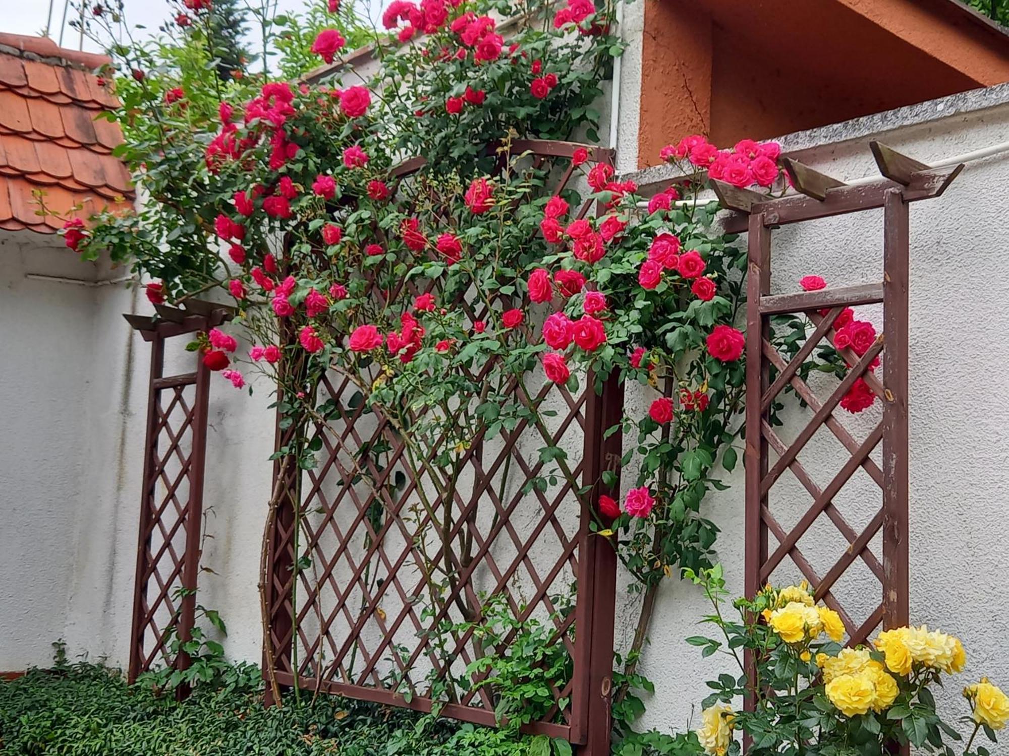 Apartament 2-Pokojowy 55 M2, Kolo Zoo, Hali Stulecia Wrocław Exteriör bild